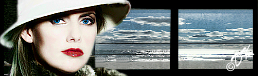 Sharleen window view.